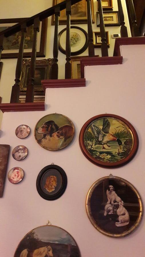 B&B Silvana Travedona Extérieur photo