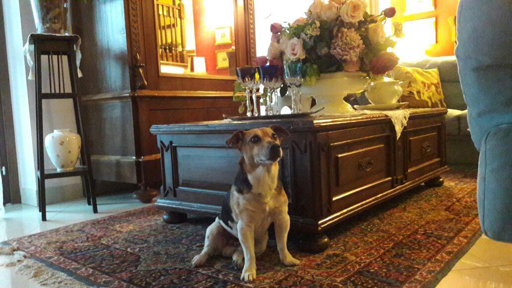 B&B Silvana Travedona Extérieur photo