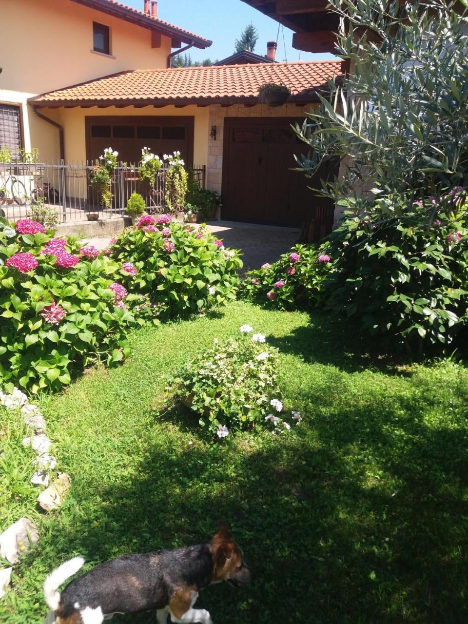 B&B Silvana Travedona Extérieur photo
